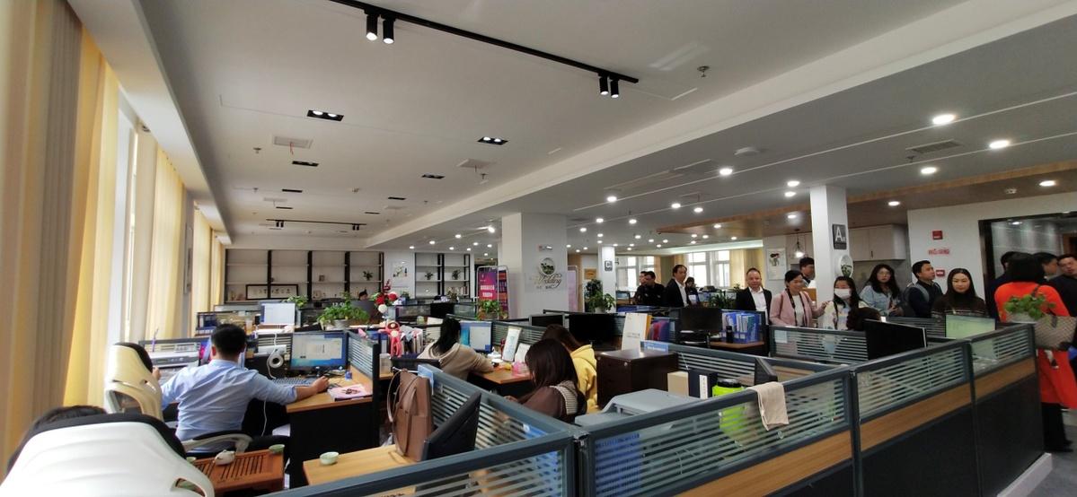 离襄最新政策,离襄最新政策解读📣