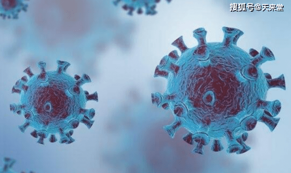 陌陌约最新版，探索自然美景，寻找内心平和宁静的轻松之旅