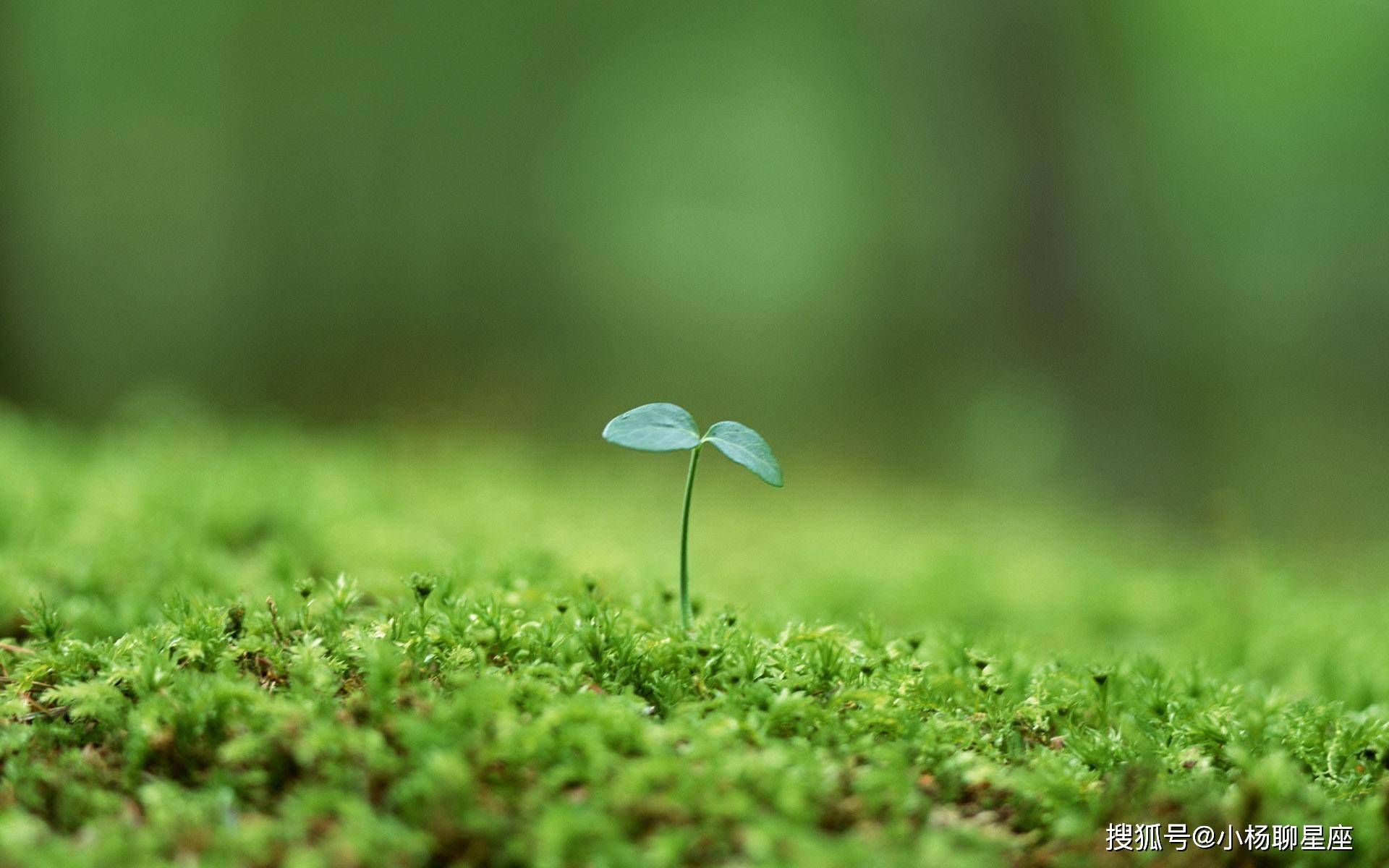 陌陌约最新版,探索自然美景,寻找内心平和宁静的轻松之旅