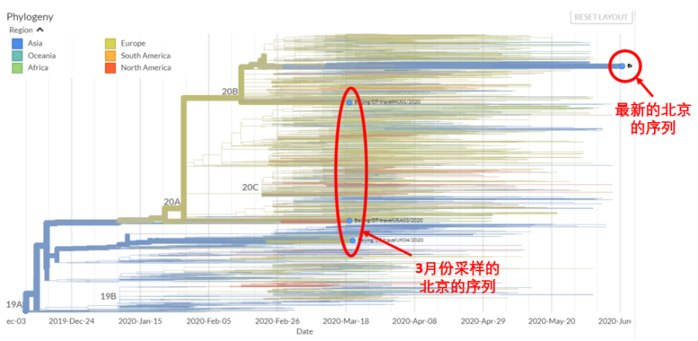 新冠病毒北京最新数据,新冠病毒北京最新数据