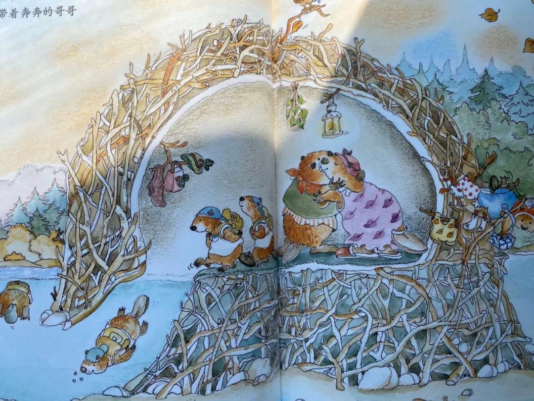 喜剧电影开心麻花最新,自信与成就感的蜕变之路