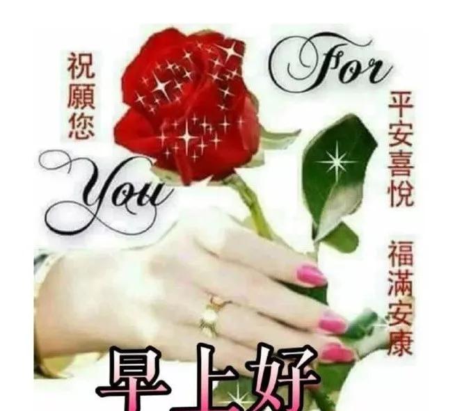 下月电脑游戏新品发布,友情与家庭温馨时光体验之旅