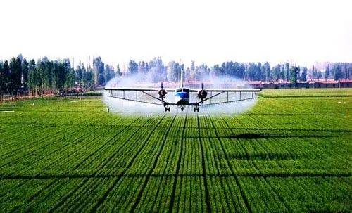 绥农最新动态,农业科技的蓬勃发展