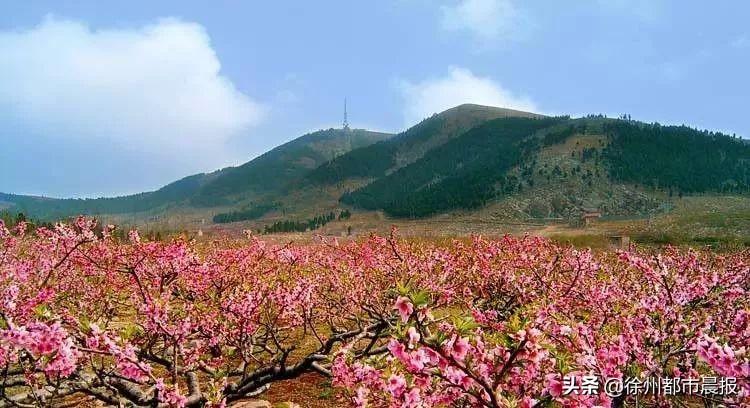 二月最新日历,自然美景探寻之旅启程时刻!