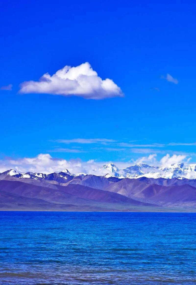 最新医院招聘信息探索自然美景的心灵之旅