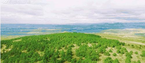 白小姐一码中期期开奖结果,机制评估方案_传承版92.486