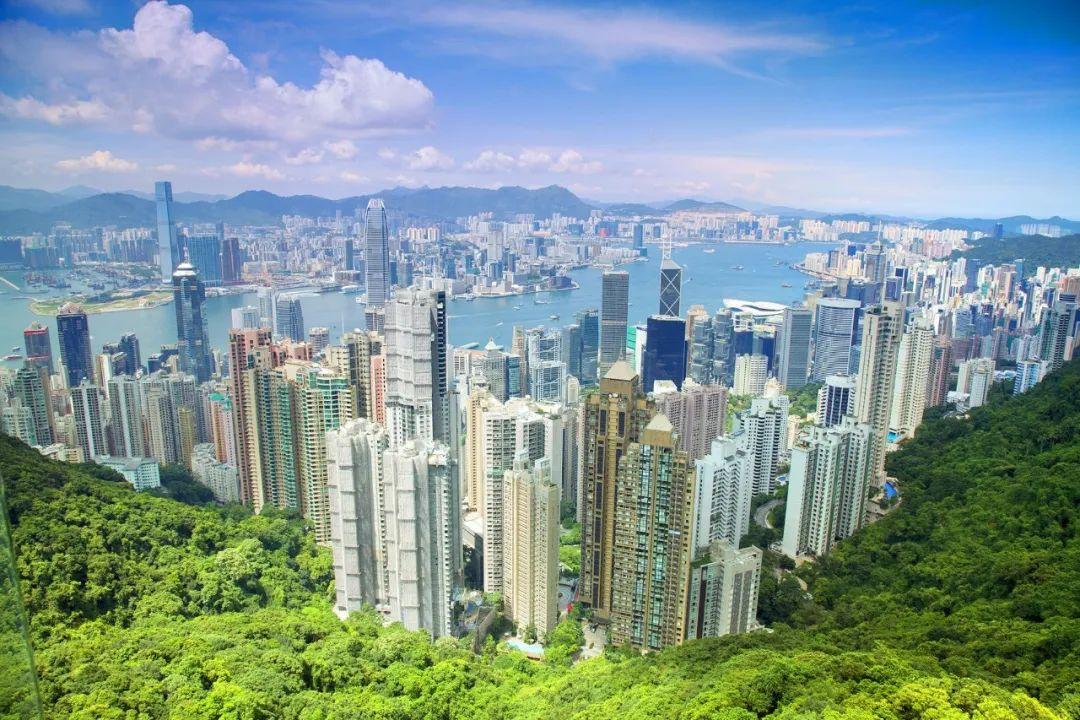 2024香港内部正版大全,持续改进策略_智慧版16.438