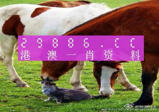 奥门一肖一码一中一特,动态解读分析_1440p33.768