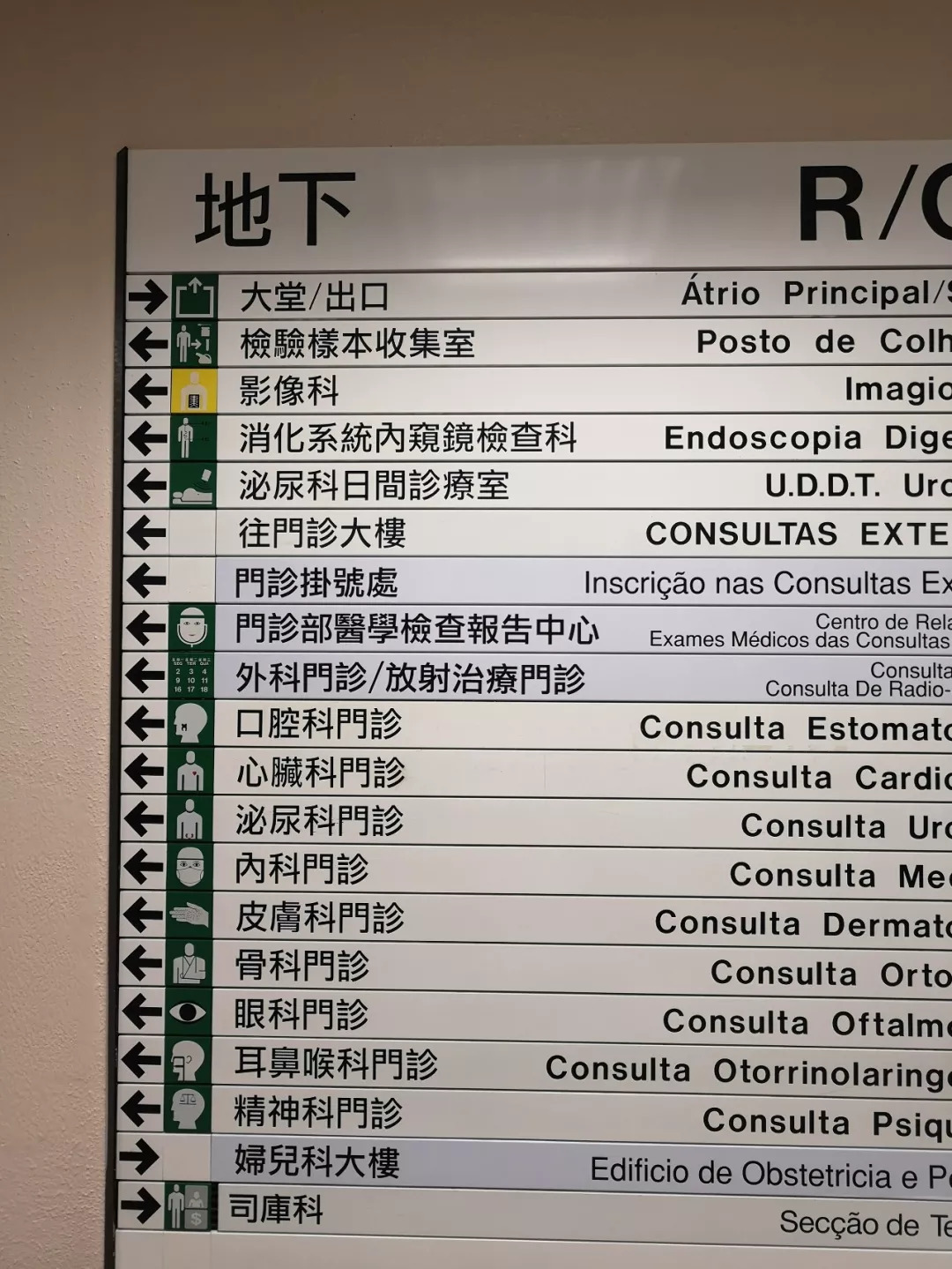 2024澳门天天开好彩正版资料大全,案例实证分析_云端共享版66.739