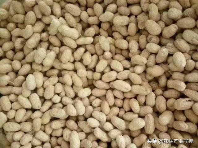 河南花生米最新行情深度解析,价格走势、市场分析全揭秘!