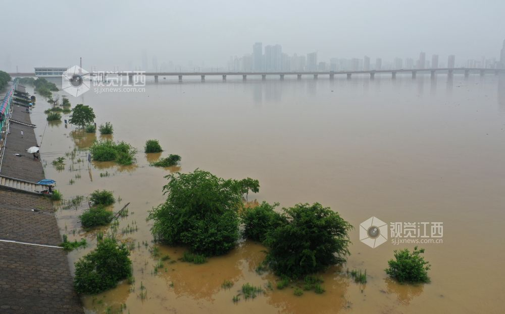 江西汛情实时更新,最新消息汇总