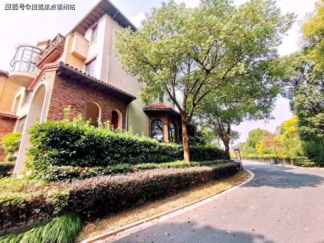 新奥特开奖结果查询,科学依据解析_珍藏版9.659