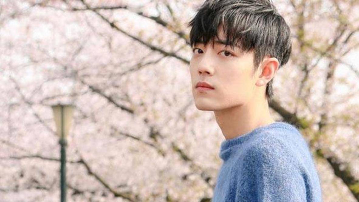 肖战最新代言揭秘,科技前沿的高科技产品推广大使