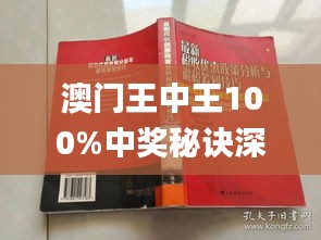 新澳门王中王100%期期中,快速问题处理_家庭版10.176