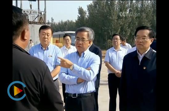 最新生猪信息一网打尽!掌握最新动态尽在指尖!