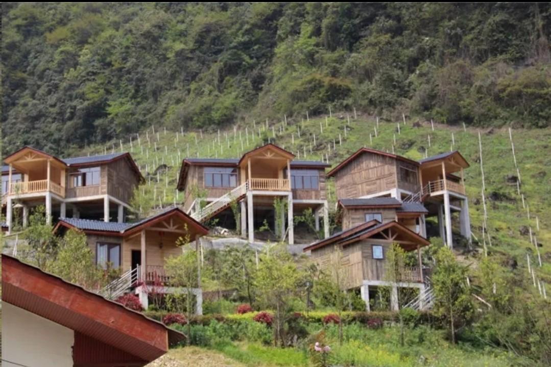 苹果12最新销量揭秘，大自然中的答案揭晓！