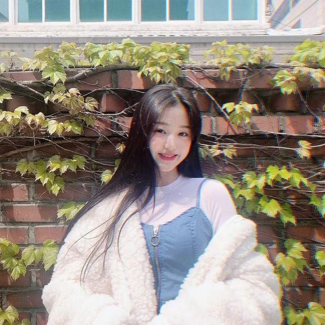 张元英ins图最新,张元英ins图最新，与大自然共舞的美妙旅程