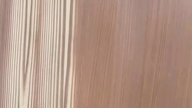 艺术漆施工秘籍，小巷深处的色彩魔法最新指南