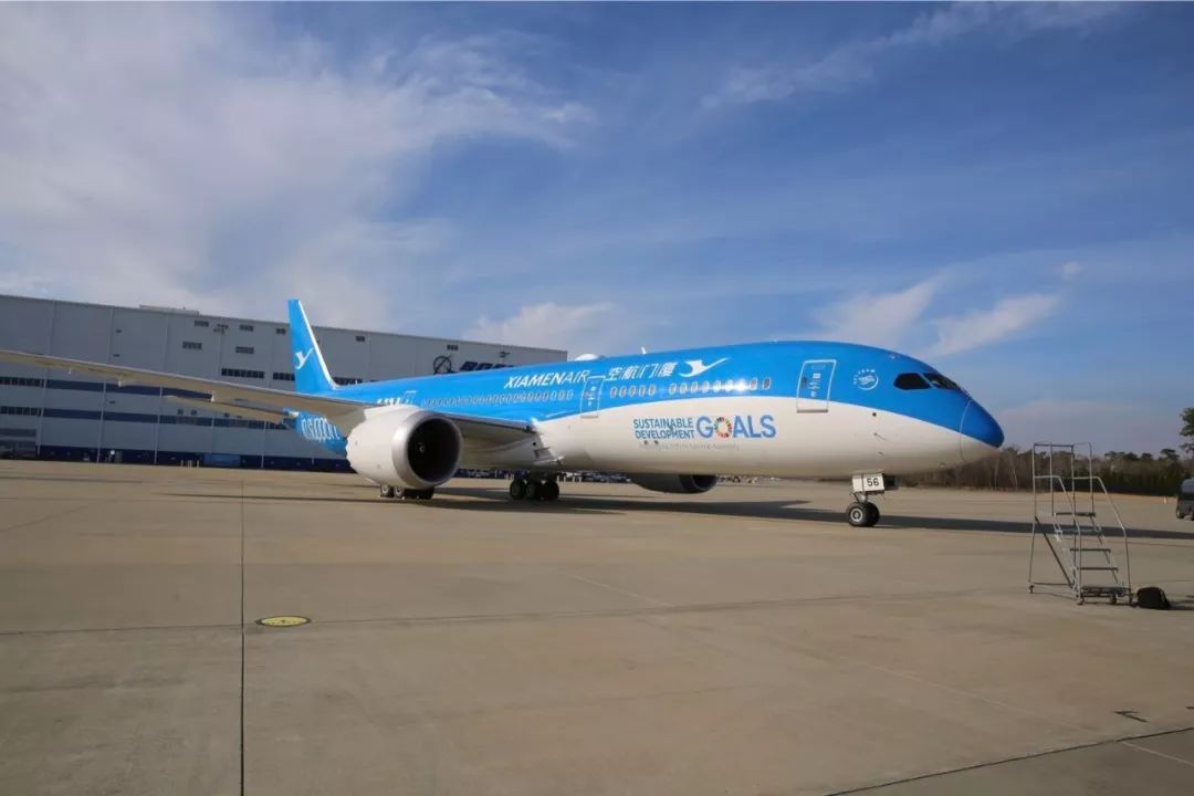 最新航空港区,小巷深处的独特风味探索