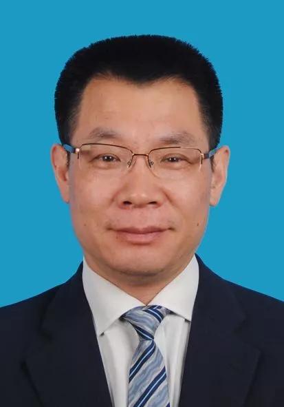 2024新奥免费资料,高效执行方案_外观版15.243