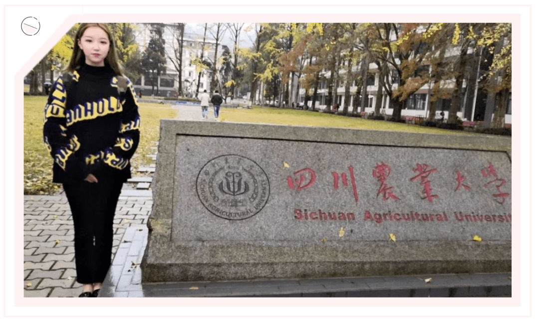 河南省大学未来教育重要更新通知揭晓