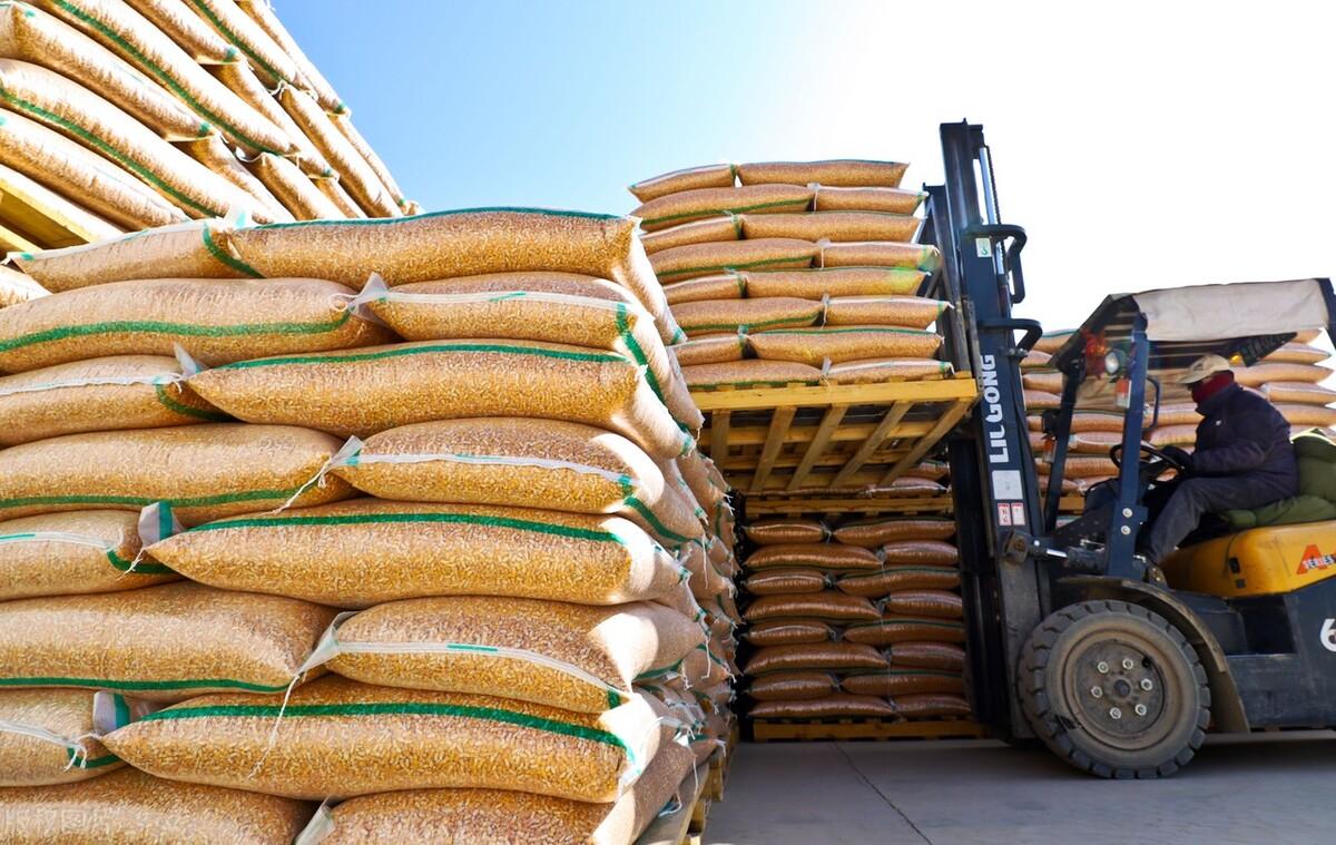 进口玉米最新价格行情解析,获取与分析玉米价格信息的指南