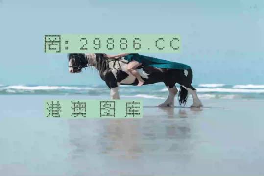 新澳门一肖一码中恃,现况评判解释说法_拍照版75.547