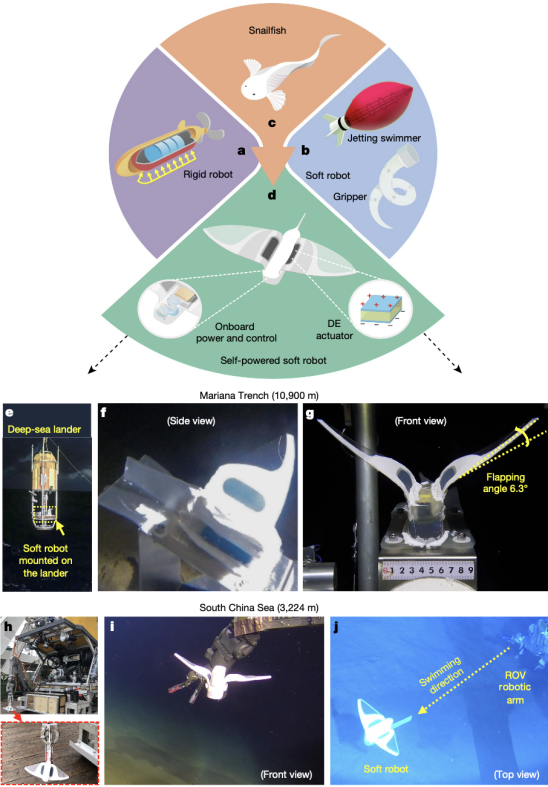 新澳门最精准正最精准龙门,实地验证研究方案_数字处理版82.443