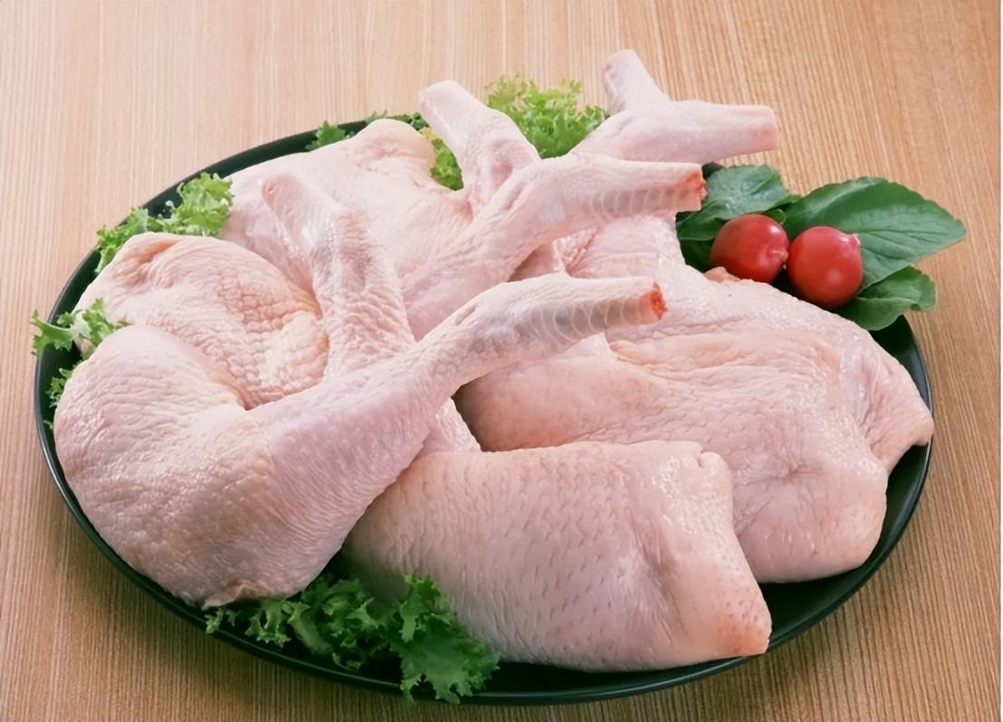 鸡温最新消息及其观点论述综述