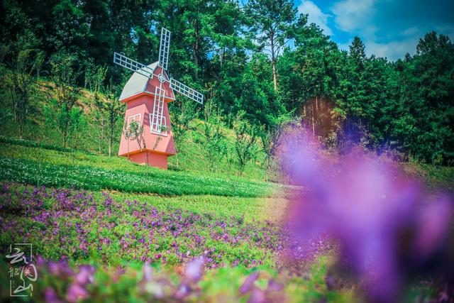 最新都市电视，自然美景的心灵之旅，探寻内心平和的启程