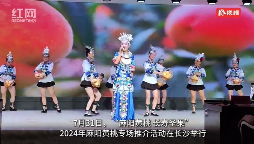 2024年香港开奖结果,深入研究执行计划_多媒体版17.594