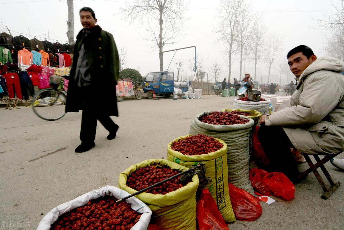 探索未来财富之路，最新赚钱平台大盘点！