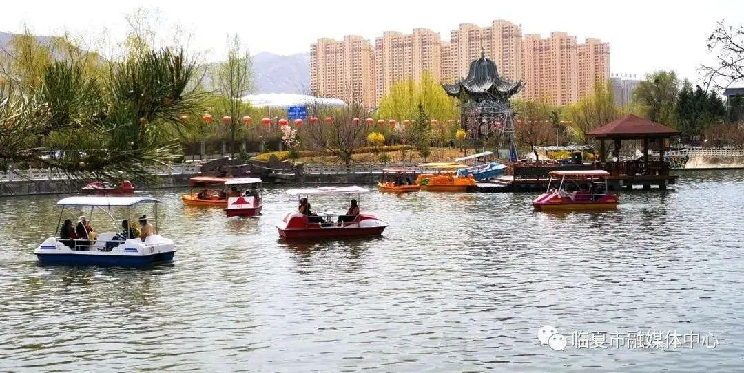 美国新冠病毒最新动态，自然之旅寻求内心平静与宁静的启示