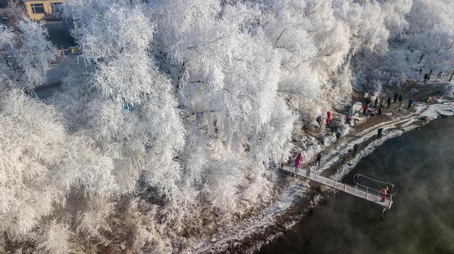 美国新冠病毒最新动态,自然之旅寻求内心平静与宁静的启示