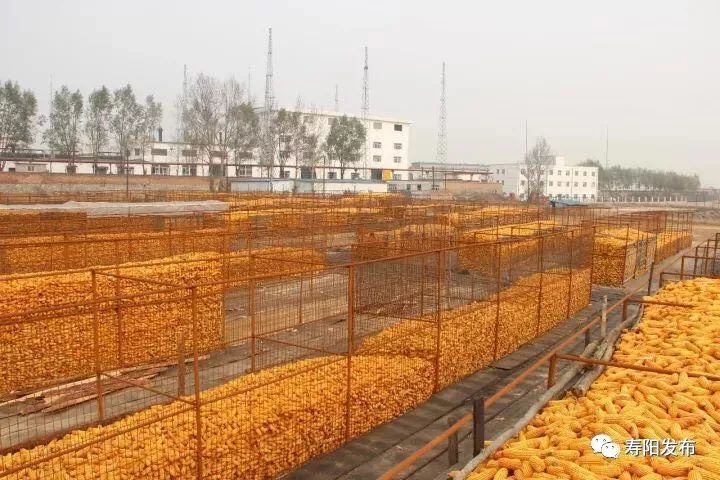 粮食领域最新动态，获取与了解最新消息的途径