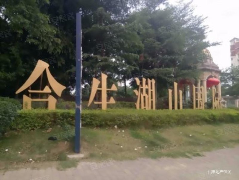 合生湖山国际最新日常趣事概览