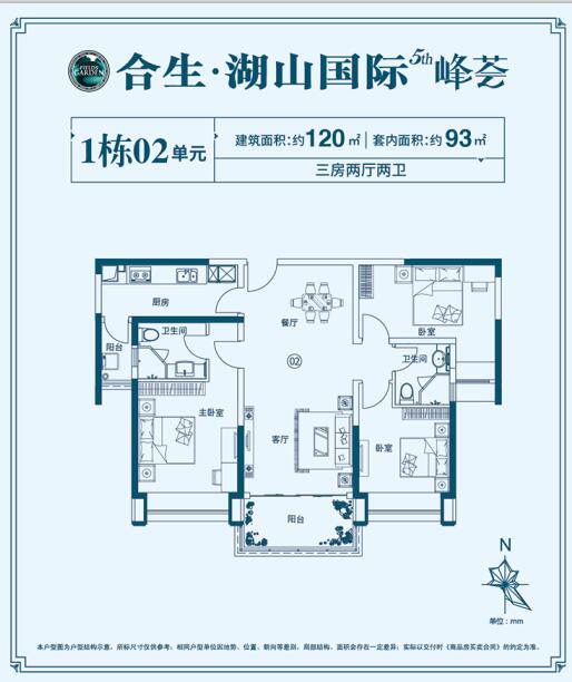 合生湖山国际最新日常趣事概览