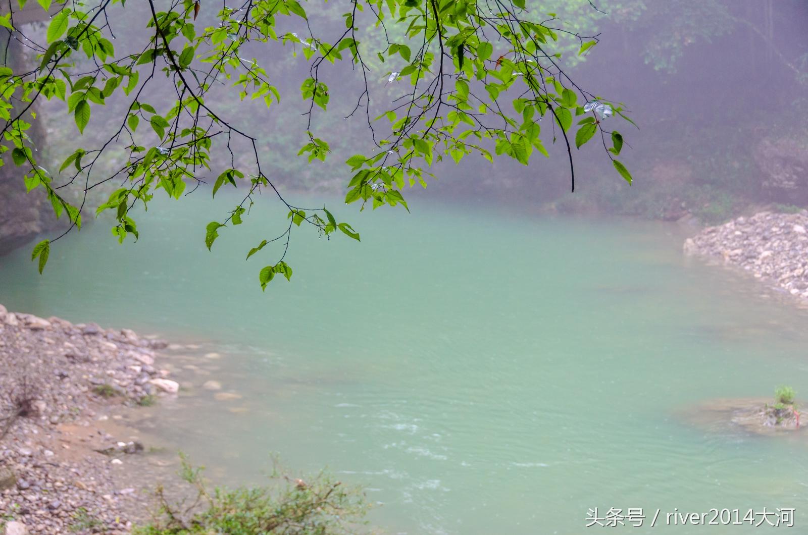 最新护网网络安全，绿色之旅守护内心平静