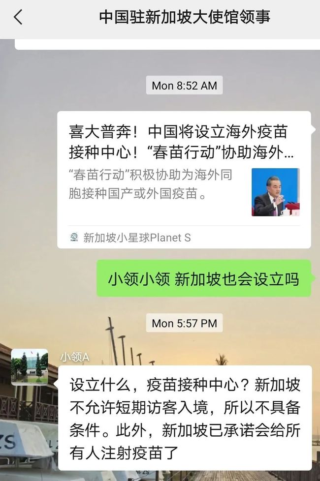 中国新冠疫苗最新动态更新,最新进展与消息汇总