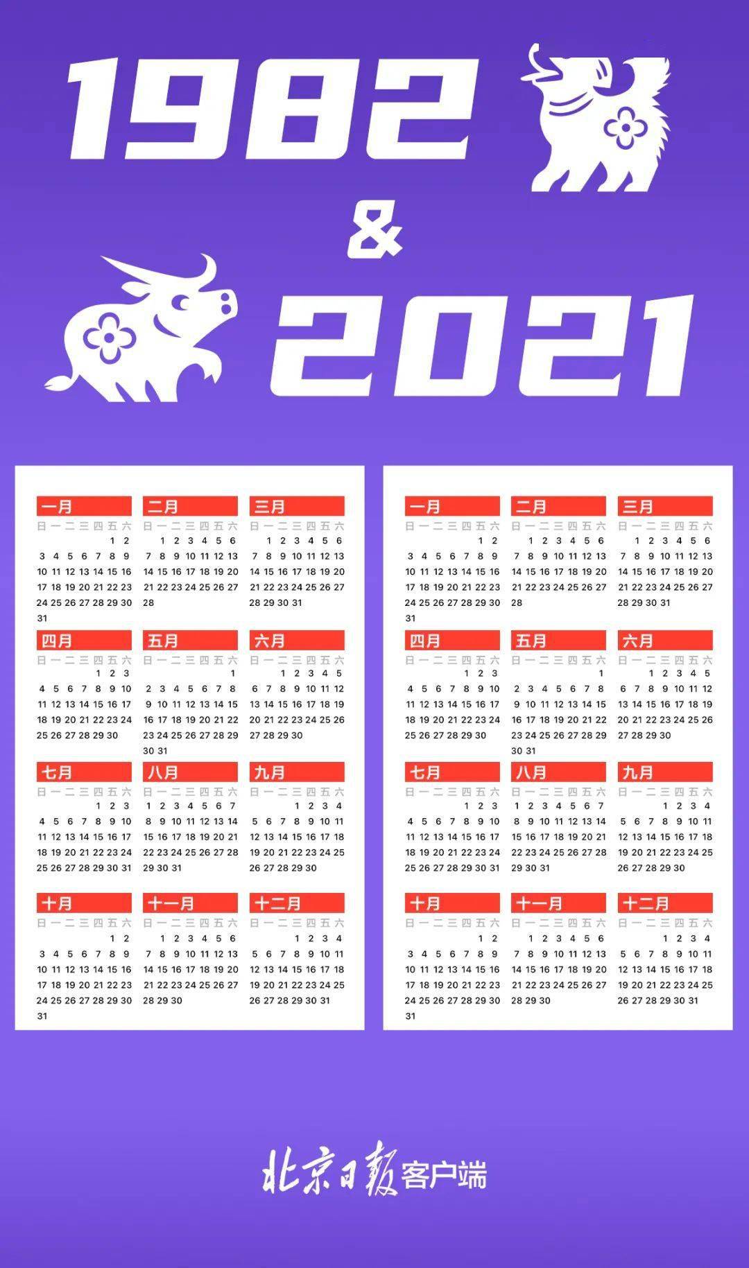 全新视角下的2021年最新版日历时间记录