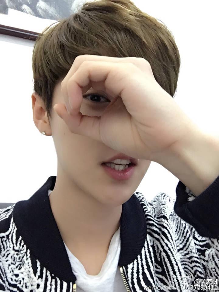 小学女生最新发型,时尚与个性的展现观点论述