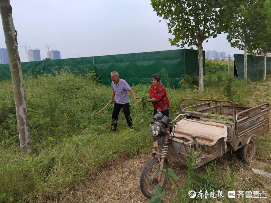 阳谷蓝海湾最新房价揭秘,探索居住新选择!