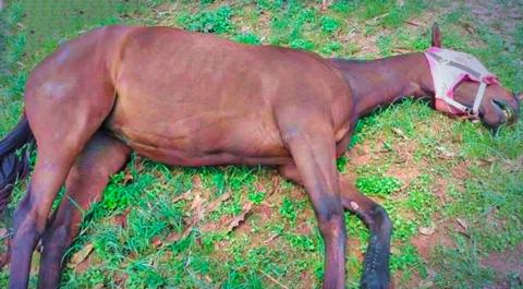 泰国疫情最新动态,科技助力新生活,智能守护健康