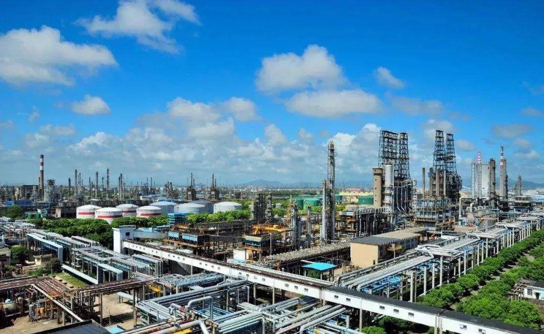 北京风险等级查询,爱的陪伴与温馨之旅