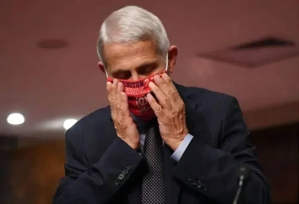 福奇最新动态,观点与影响的深度探讨