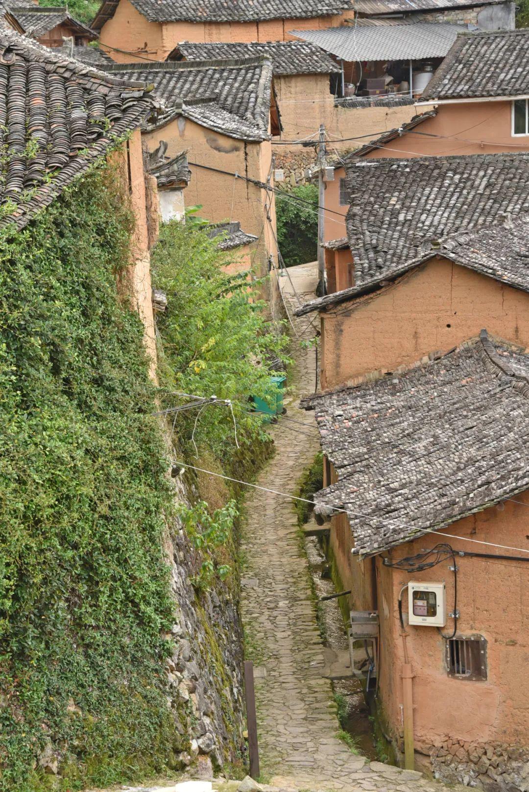 教育部最新紧急提醒，心灵治愈之旅，启程探索自然美景远离尘嚣