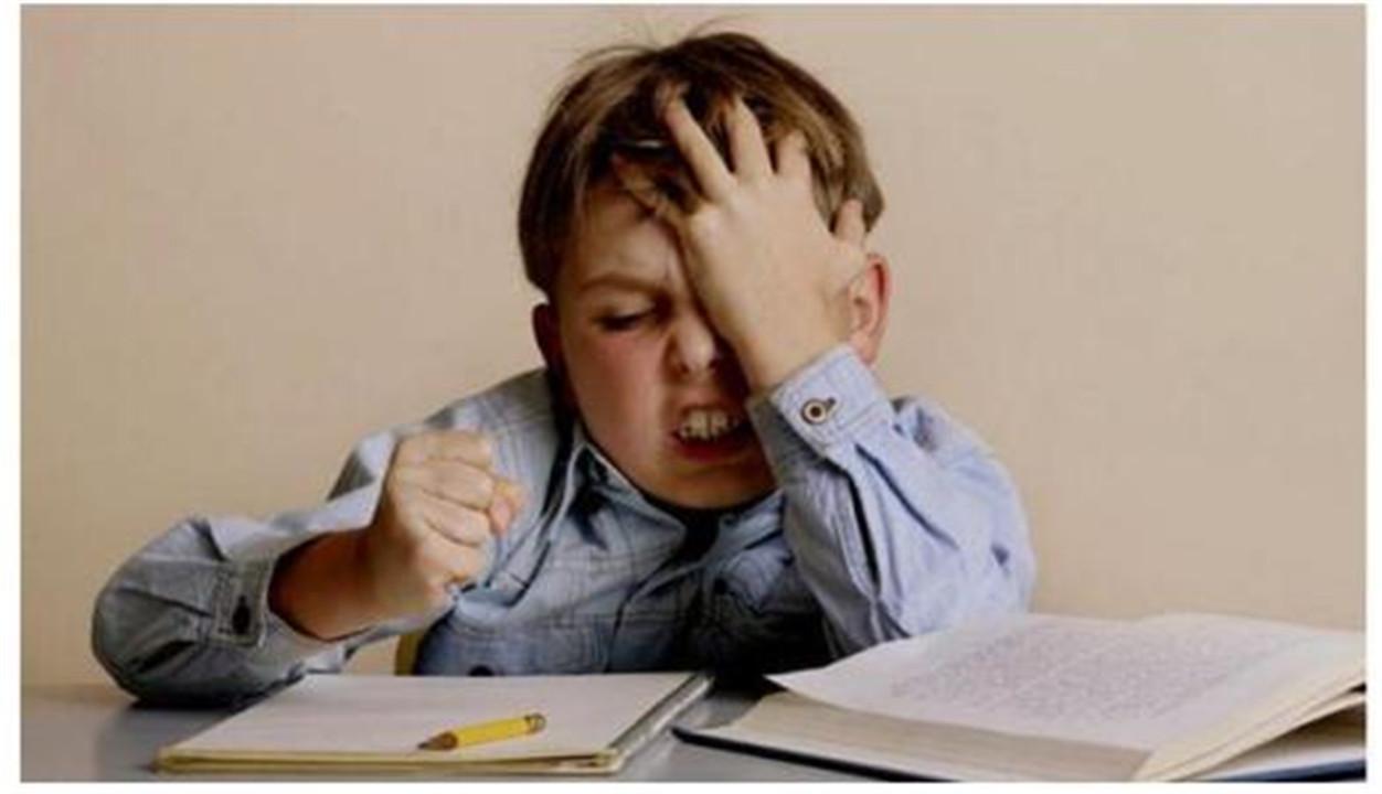 以家人之名剧情最新,以家人之名剧情最新,变化中的学习之旅,自信与成就感的源泉