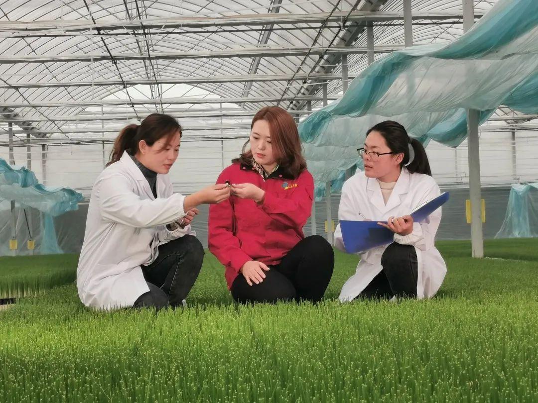 留学中国最新政策,留学中国最新政策——科技引领未来,留学体验全新升级