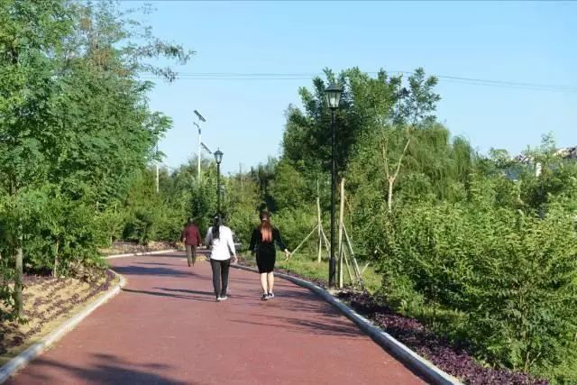 平度市最新新闻,小巷深处的独特风情