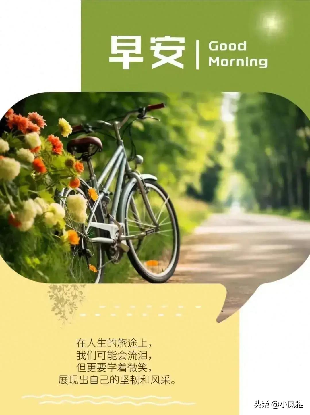 2024年天天彩免费资料,生物与医药_实验版9.612